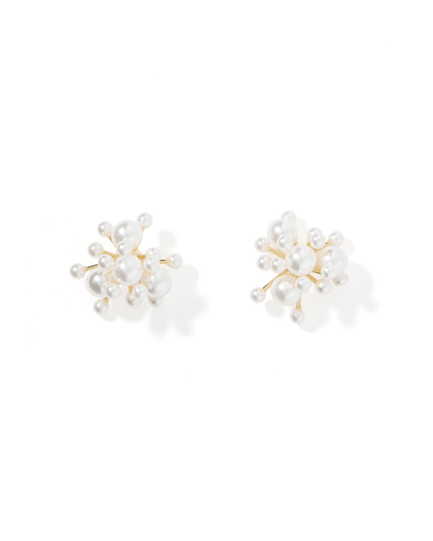 Alana Statement Earrings