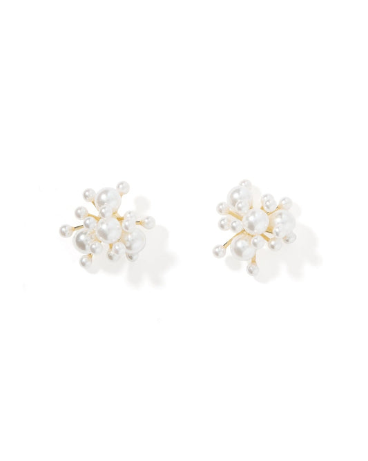 Alana Statement Earrings